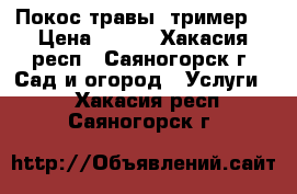 Покос травы (тример) › Цена ­ 300 - Хакасия респ., Саяногорск г. Сад и огород » Услуги   . Хакасия респ.,Саяногорск г.